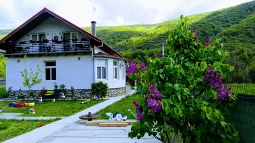 Mehadia House | Vila di Pau