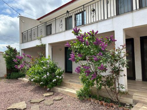 2 Mai House | Vila Elna