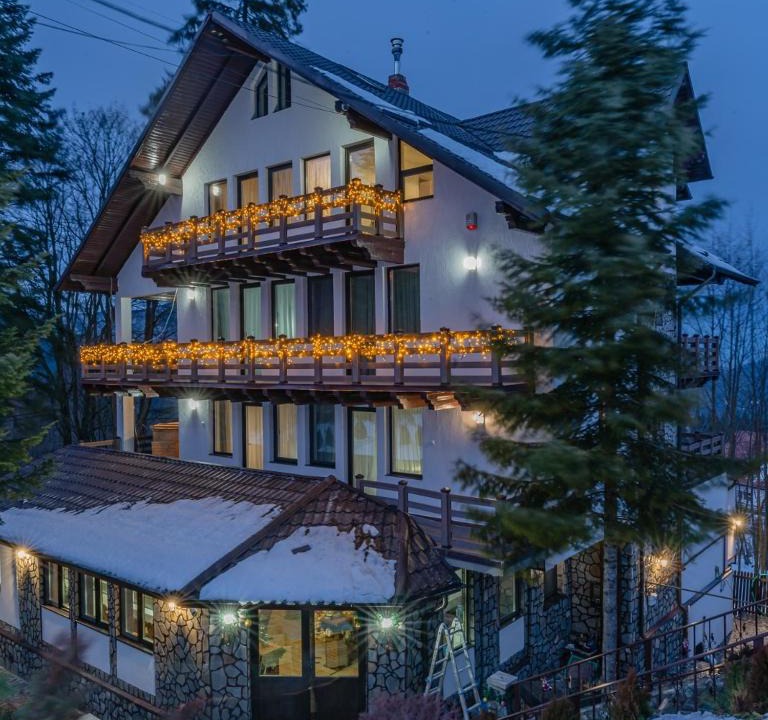 Predeal House | Vila Iris