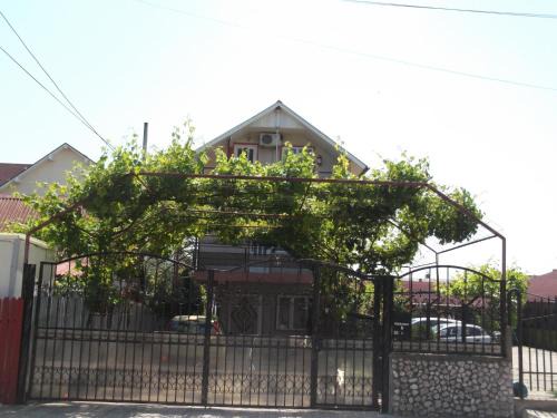Costinesti House | Vila Lucky