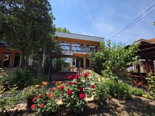 Vama Veche House | Vila Madi