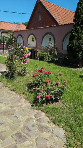 Darlos Villa | Vila Miriam