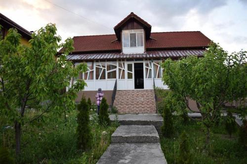Budesti House | Vila Patrick