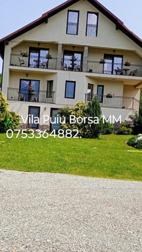 Borsa Villa | Vila Puiu Borsa MM