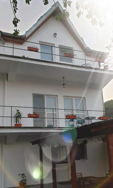 Dubova House | Vila Rose