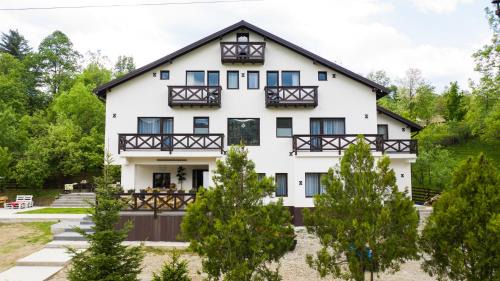 Visinesti Villa | Vila Roua Urseiu