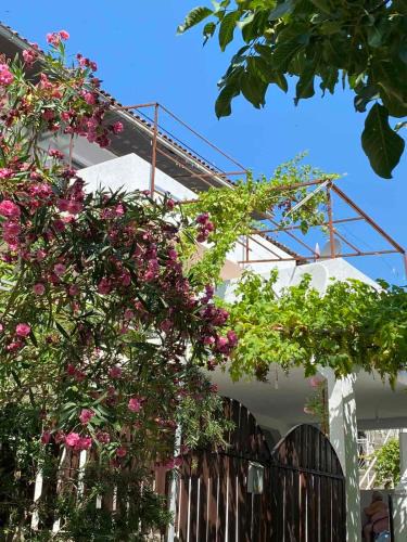 Prcanj Apartment | Vila Ruška