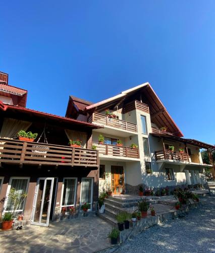 Borsa House | Vila Sorina