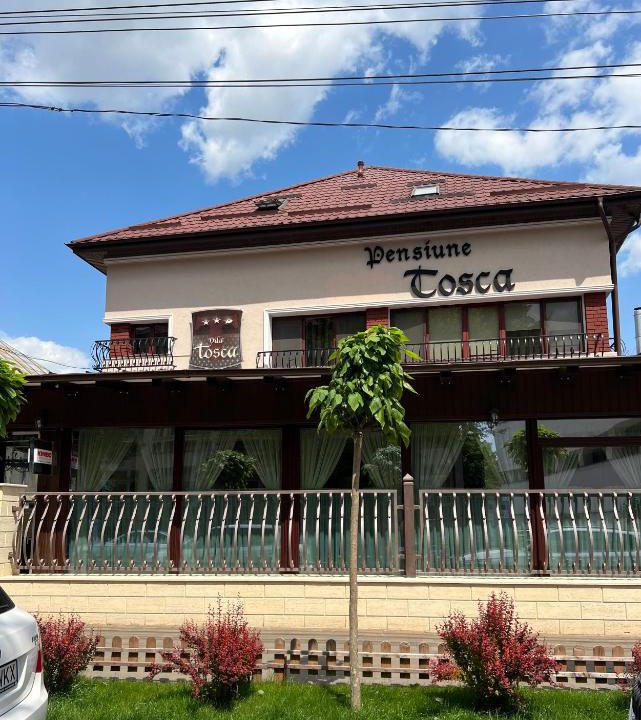 Bacau House | Vila Tosca