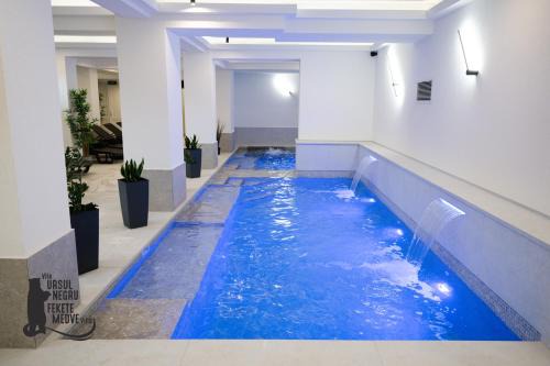 Sovata House | Vila Ursul Negru