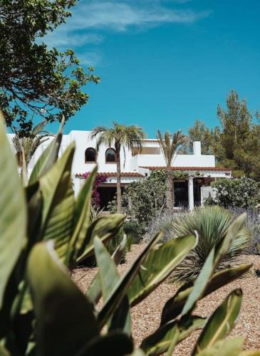 Santa Eulalia del Rio Villa | Villa 4 Palms only 5 minutes from Ibiza
