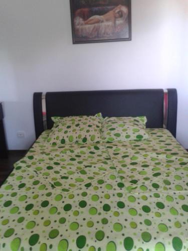 Slatina House | Villa ALEX