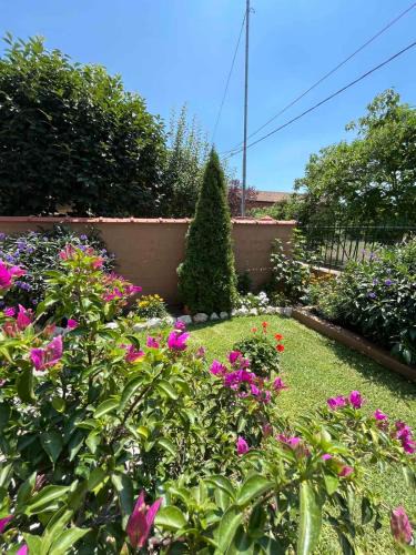 Asprovalta House | Villa Alexander