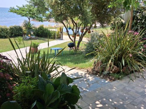 Lefkippos Villa | Villa Alexander