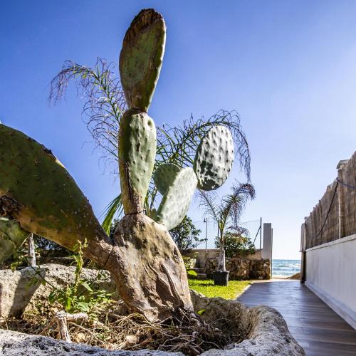 Cicirata Villa | Villa Ammari