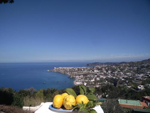 Panza Apartment | Villa Andrea