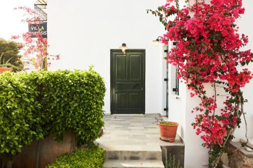 Spetses House | Villa Anesis