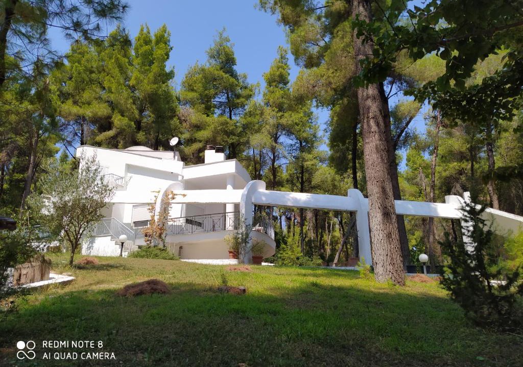 Sane Villa | Villa Angie