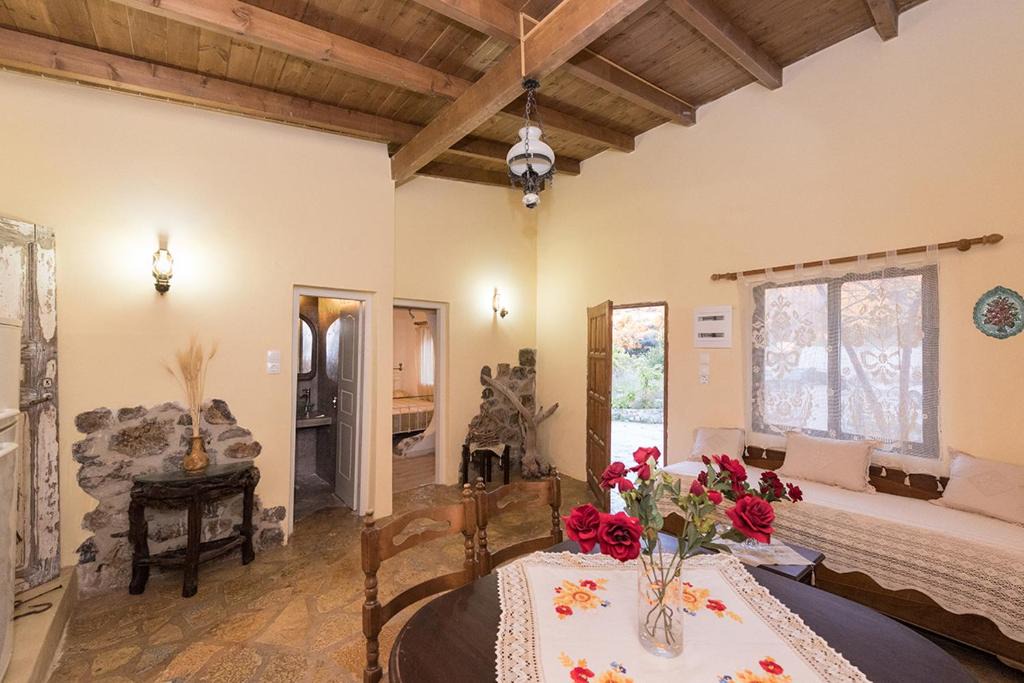 Agios Gordios Villa | Villa Argo, Feakia