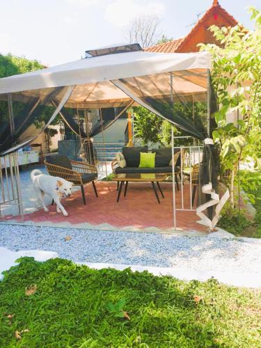 Asprovalta House | VILLA ARHONTIKO