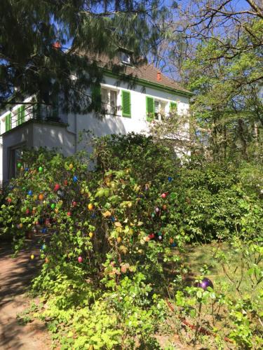 Fuerth Bed & Breakfast | Villa Böhme