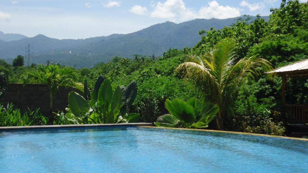 Tukad Mungga Resort | Villa Belindo