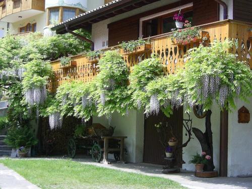 Molveno Apartment | Villa Bianca
