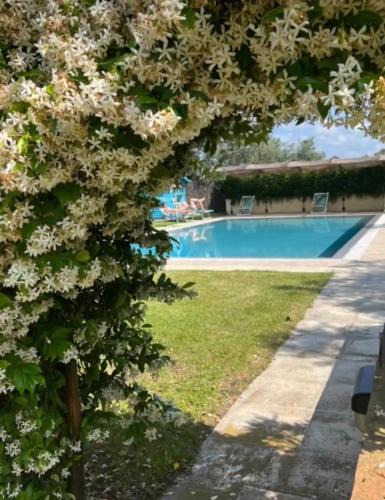 Castagneto Carducci House | Villa Borgeri