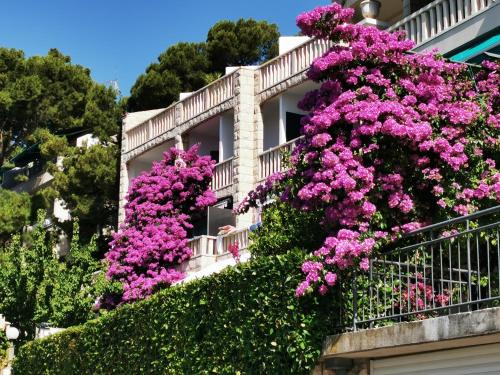 Brela Apartment | VILLA Bose
