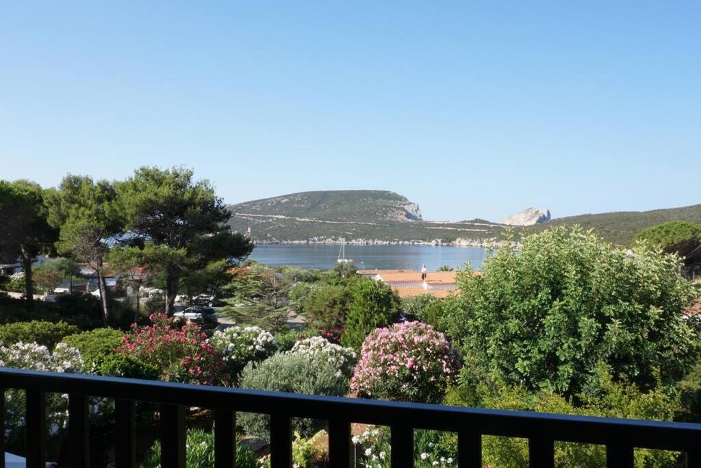 Pischina Salida Apartment | Villa Bougainvillea