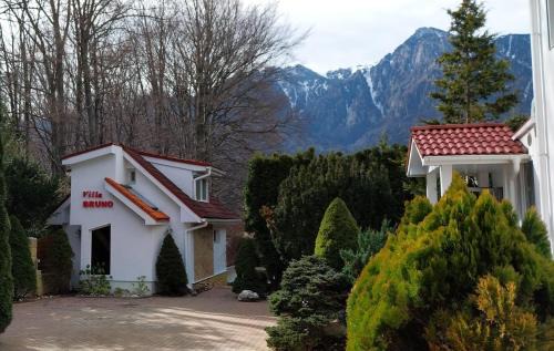 Busteni House | Villa BRUNO