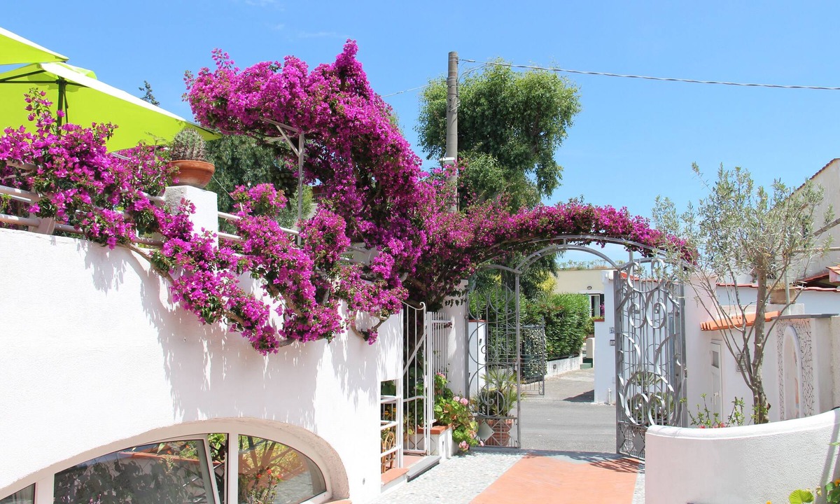 Ischia Porto Hotel | Villa Cecilia
