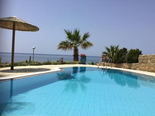 Chlorakas Villa | Villa Celine