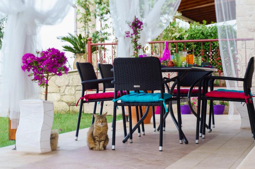 Afytos Villa | Villa Christos