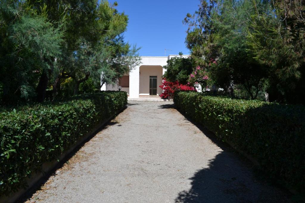 Padula Fede Villa | Villa Cino
