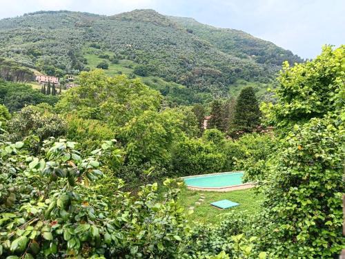 Nocchi Villa | Villa con parco e piscina-Camaiore