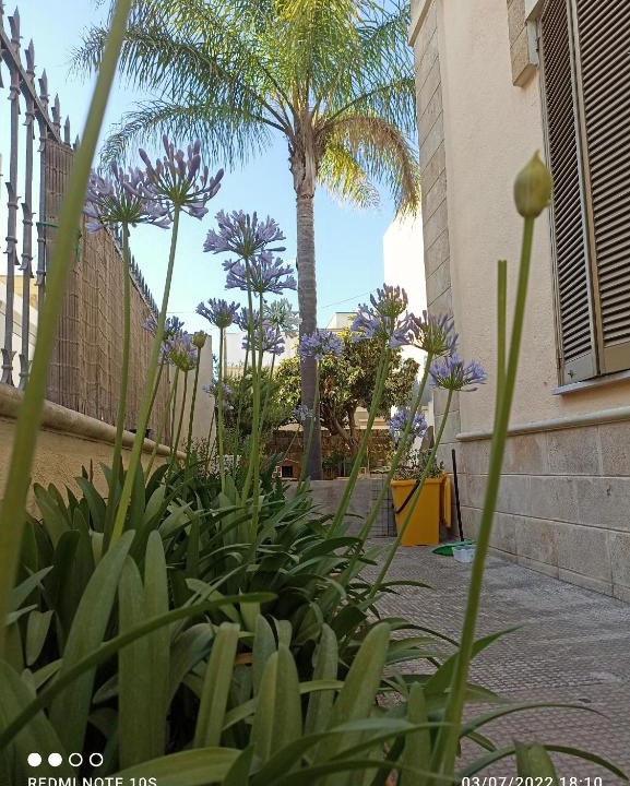 Tricase House | Villa Confalonieri