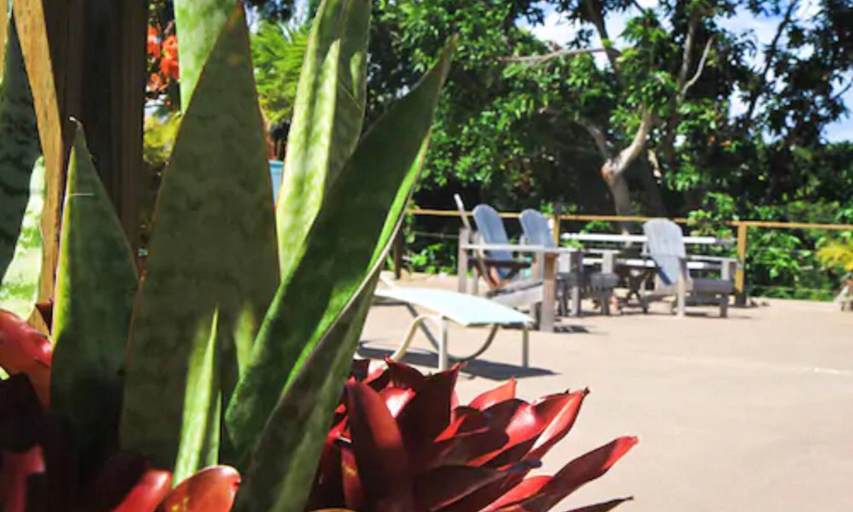 Esperanza House | Villa Coral