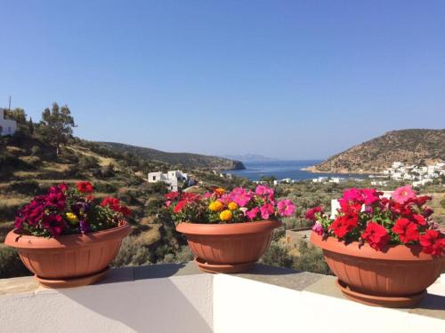 Vathi Apartment | Villa Costa Studios