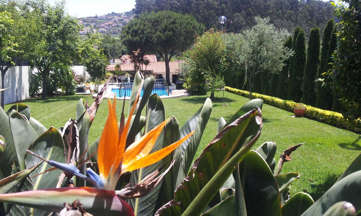 Arcos House | Villa D'Arcos