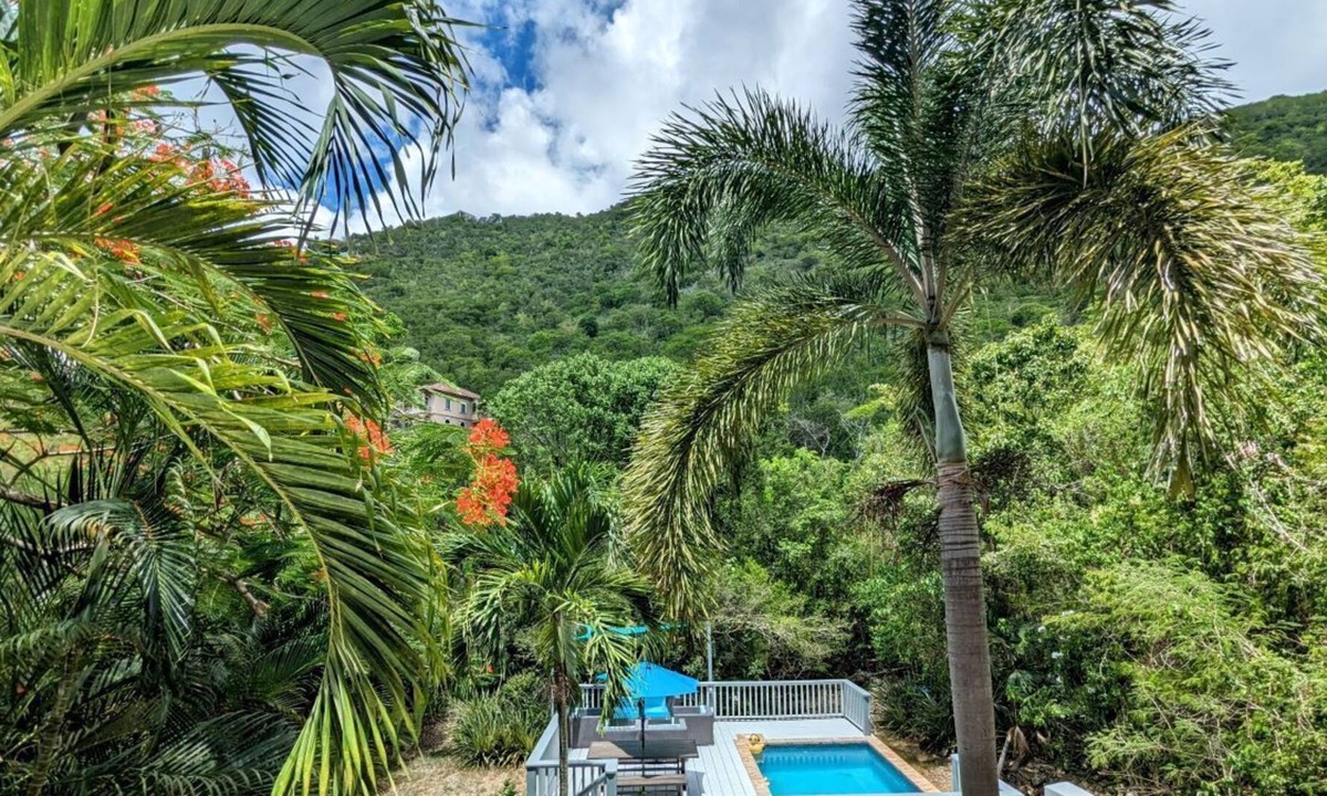 Fish Bay Villa | Villa de Paz, St John. New to rental market. 4BR/2.5B Pool, Private, Renovated!!