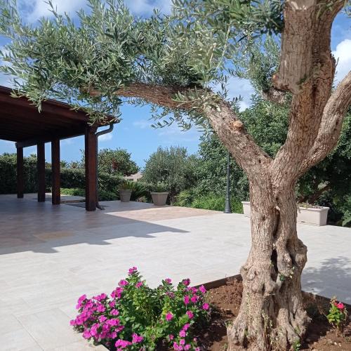 Custonaci House | Villa dei Colori