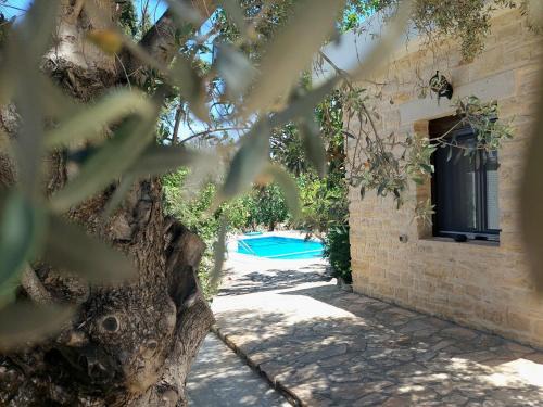 Sivas Villa | Villa Elia