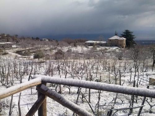 Fornazzo House | Villa Etna Masi'