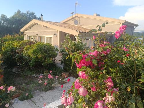 Aleimmatades Villa | Villa Ewa