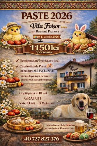 Busteni House | Villa Foisor