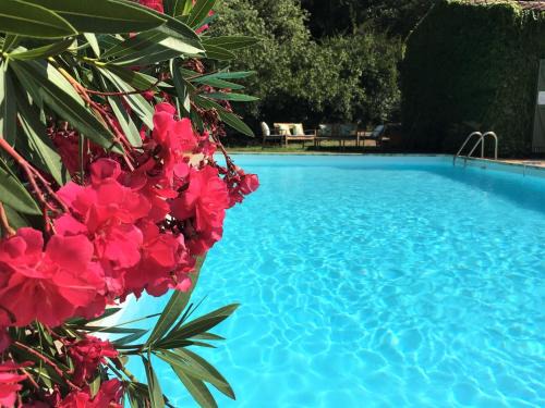 La Garde-Freinet House | Villa Fontane Provence