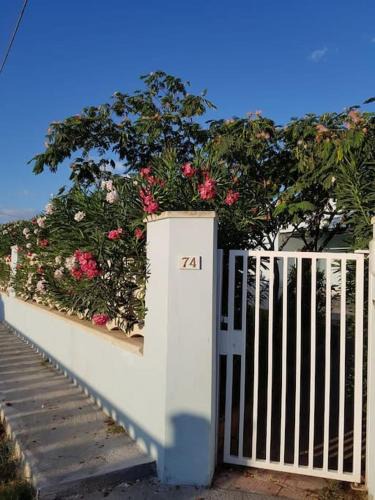 Torre Colimena Villa | Villa Francesco & Chiara