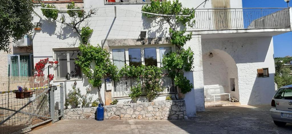 Antonelli Apartment | VILLA FRANKY