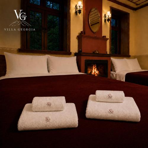 Vitsa Villa | Villa Georgia